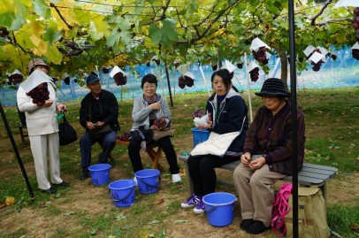田村市仮設移動サロン!実りの秋満喫してきました♪