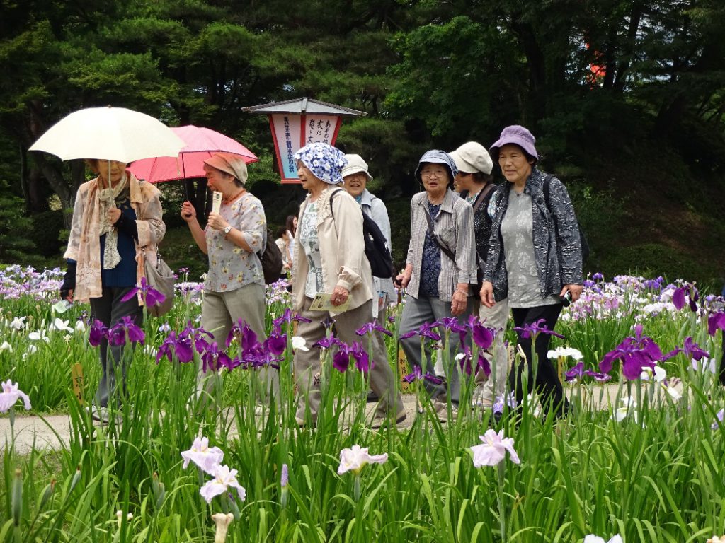 天気も恵まれ、あやめ公園を散策